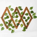 Artificial money plant leaf fence front view