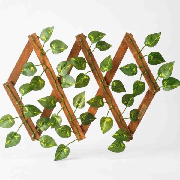 Artificial money plant leaf fence front view